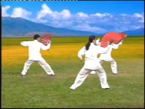 Yangsheng Taijishan  -  Fan