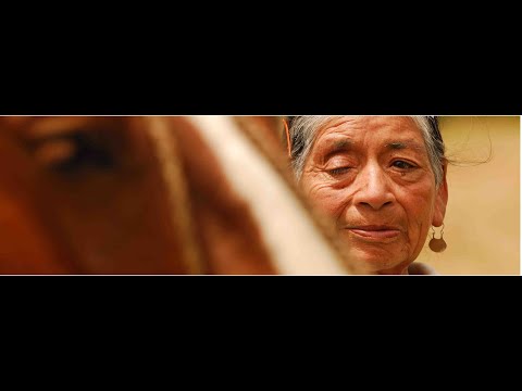 UN MUNDO APARTE - Capítulo 9: Herederos de los Andes