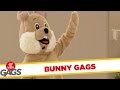 EASTER BUNNY Pranks - Best of Just For Laughs Gags.