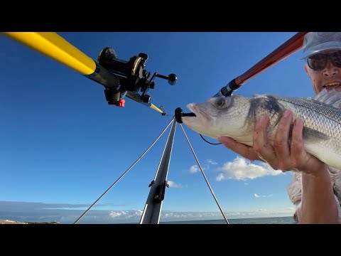 Beginners Guide to Sea Fishing