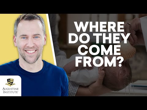 What Are the 7 Catholic Sacraments? | Chris Stefanick