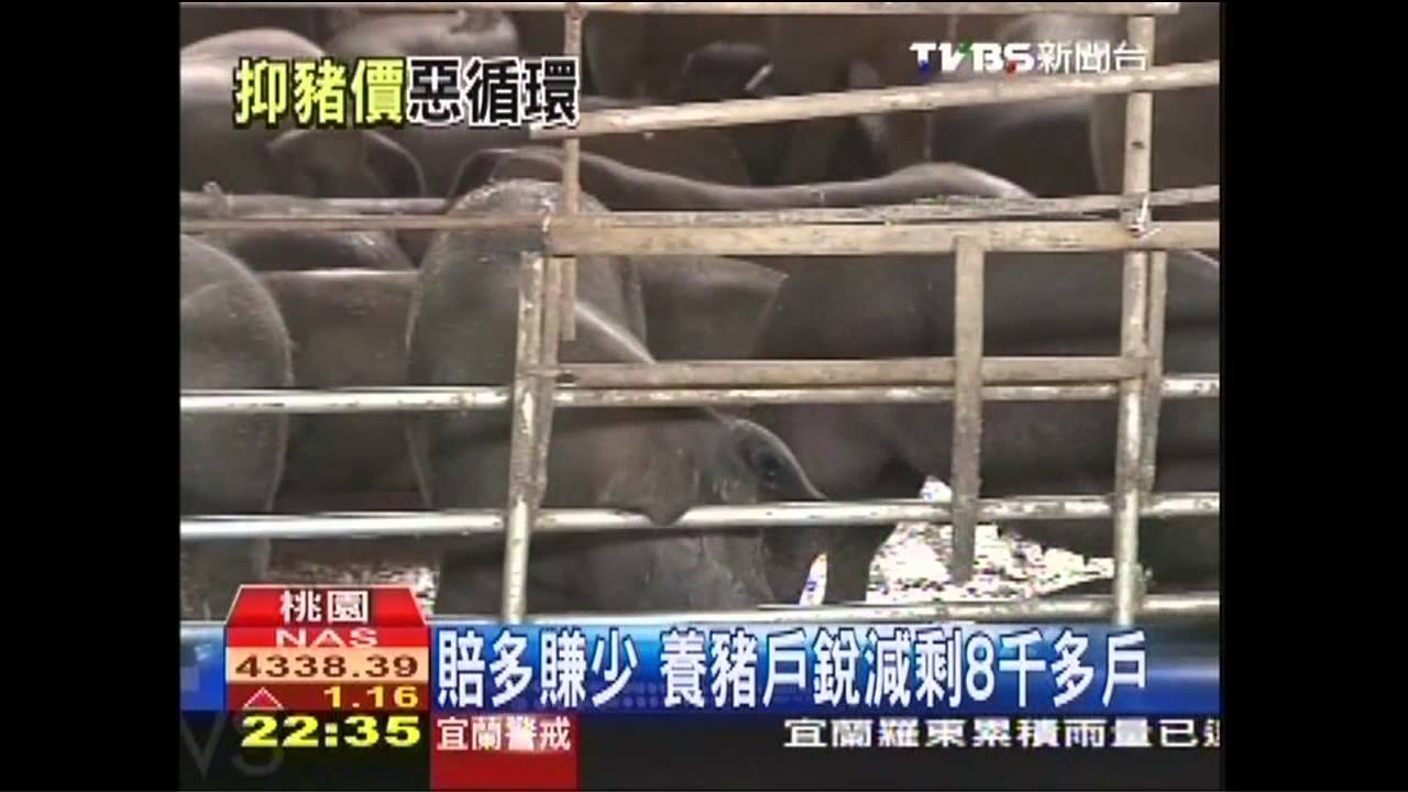 負債養豬難回收　豬農：別打壓豬價