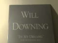 Will Downing-In My Dreams-The Rapid Eye Mix
