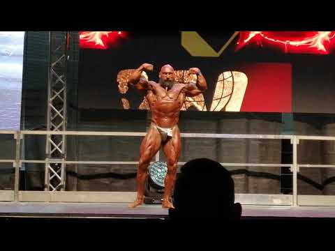 Esibizione Hercules Olympia WABBA 2019