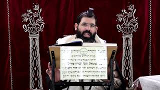 זבחים דף ל"ז ע"ב ¤ הרב נתנאל אברז'ל ¤ בית הכנסת "בית מרדכי" (מוסדות תורת דוד) - התמונה מוצגת ישירות מתוך אתר האינטרנט יוטיוב. זכויות היוצרים בתמונה שייכות ליוצרה. קישור קרדיט למקור התוכן נמצא בתוך דף הסרטון