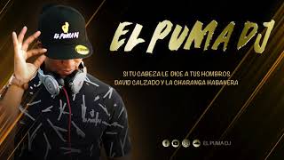 Si Tu Cabeza Le Dice A Tus Hombros - David Calzado Y La Charanga Habanera ''El Puma Dj''