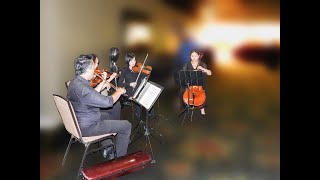 SAA Annual Scientific Meeting & Reunion 2024 LA California