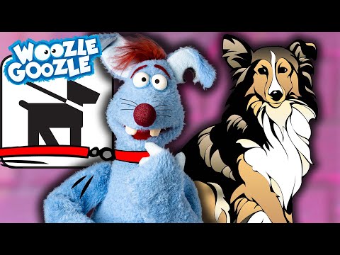 Ist Woozle ein Hund? l WOOZLE GOOZLE