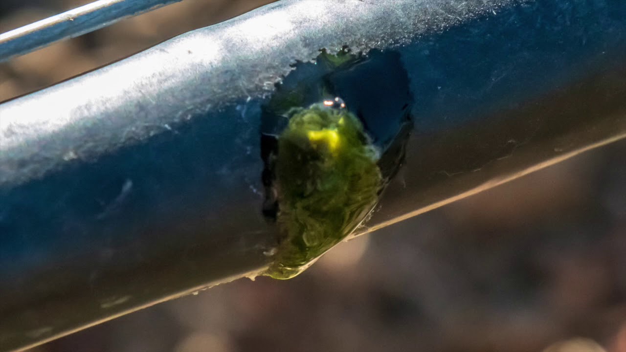 Winterization  for your Drip Irrigation System