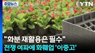 화분 재활용은 필수...전쟁 여파에 화훼업 '이중고' / YTN