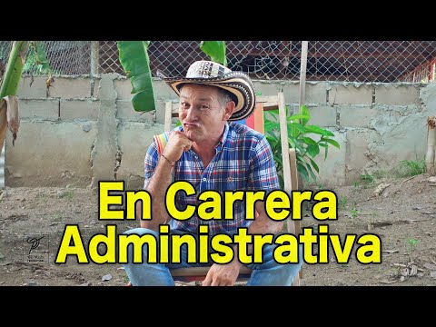 In Administrative Career - Tio Pello