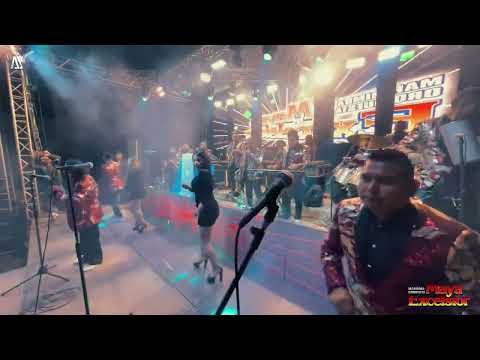 La preferida MAYA EXCELSIOR | Quieres ser mi amante | Spanish Girl | Macorina 🎹🎷🎼