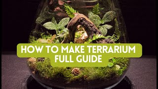 How To Make Terrarium very easy Full Guide For Beginners