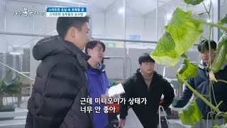 [스마트한 온실 속 초록빛 꿈] 스마트한 농부들의 위기 대처법은..?