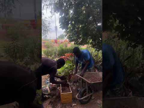 Florist  in Kumasi #ghana #flowers