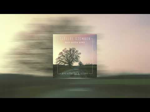 ByeAlex és a Slepp - Széllel szemben (Nick Havsen Remix)