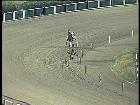 Trotto 02/01/2018 - prova di qualifica