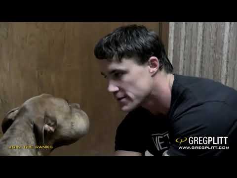 Greg Plitt - Quest Tribute - po polsku