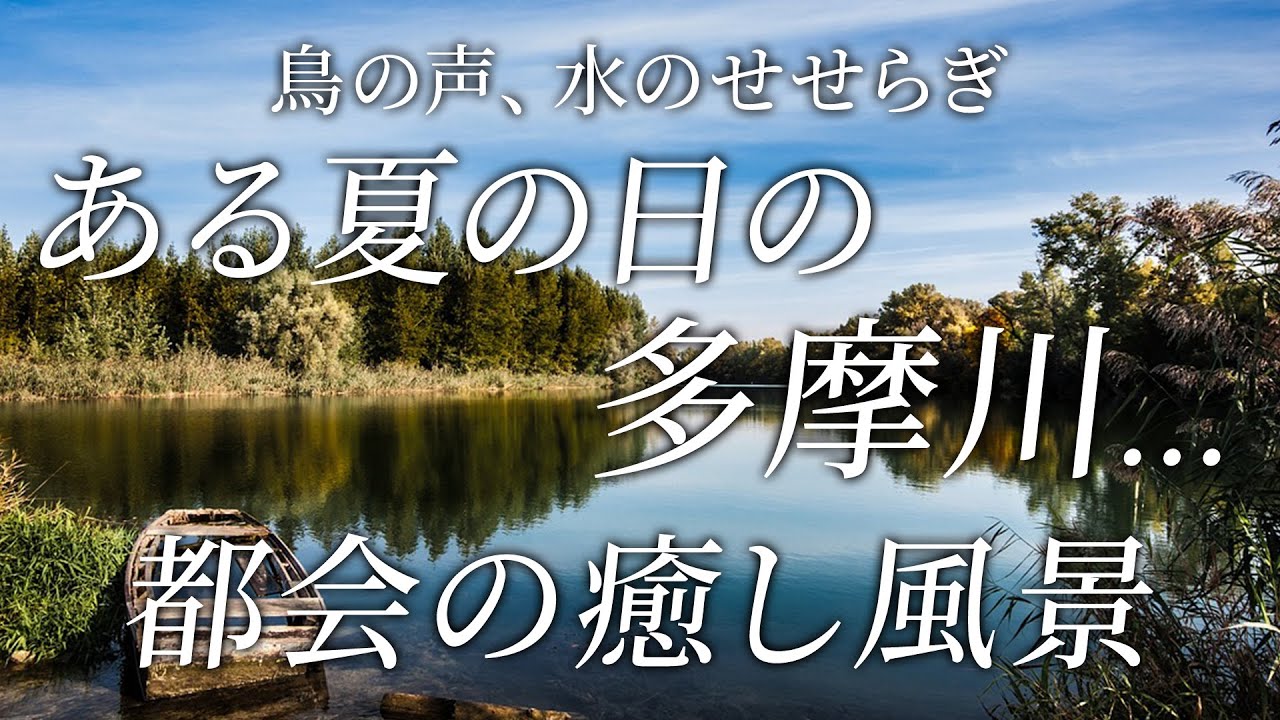 ある夏の日の多摩川、癒しの風景