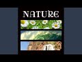 Etheric Chakra Above Crown - Ending Chakra (Chakra Balance for Body,Mind and Soul)