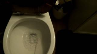 Just pissing in the toilet.....Like every day