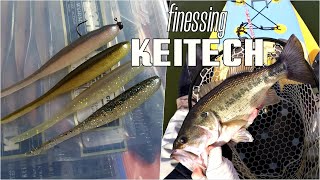 Impact shad keitech