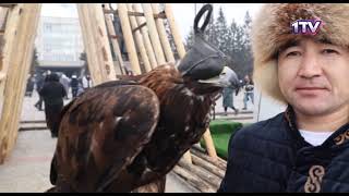 Видео