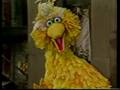 Sesame Street Disliking It Without Eating Is Not Good