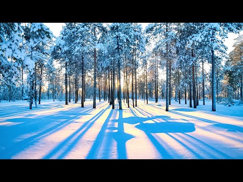 Beautiful Relaxing Music for Stress Relief - Peaceful Soothing Instrumental Music, "Winter Woods"