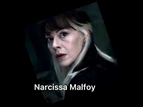 Everything at once || Harry Potter edit