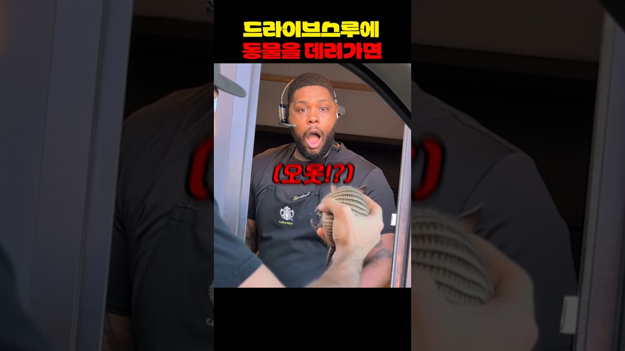 드라이브스루에 동물을 데려가면
