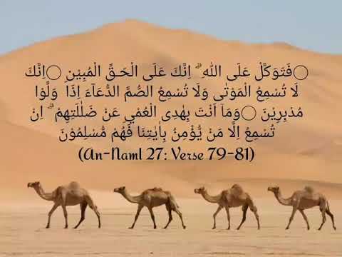 (An-Naml 27: Verse 79-81)