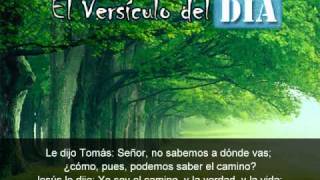 Miniatura del video: El versiculo del dia .com - Juan 14 v5-6