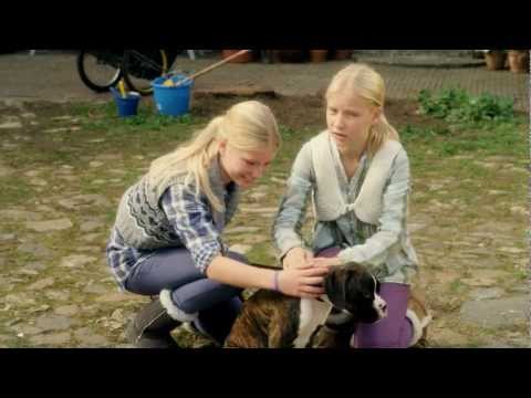 In D'Oude Herberg - Raveleijn - Aflevering 2