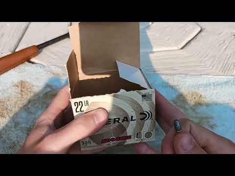 Good Shooting Little Pistol