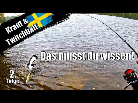 So angelst du erfolgreich auf Hecht in Schweden vom Ufer!