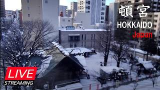 北海道神宮頓宮