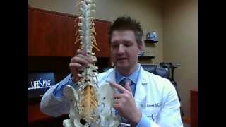 preview picture of video 'Back Pain Relief - Chiropractor Explains Low Back vs. SacroIliac Joint Pain'