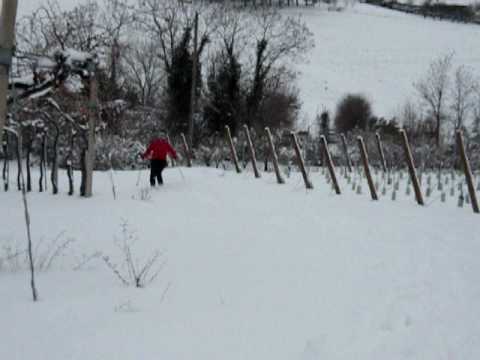 Ski in the vineyards