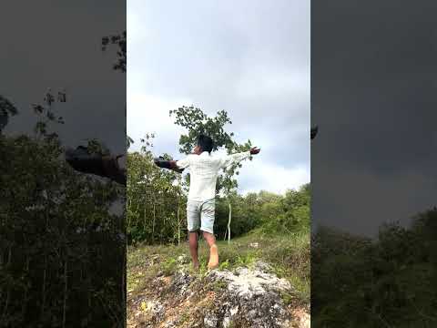 the mighty eagle was soaring freely. When the brave children called #eagle #nature #wildlife