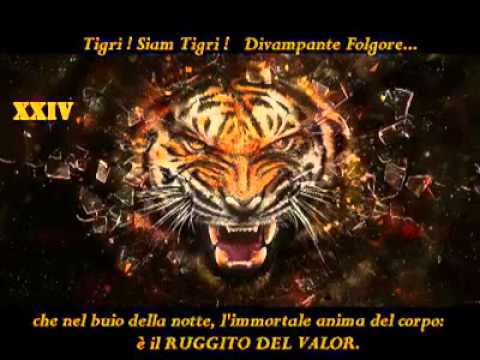 XXIV cp. GUASTATORI PARACADUTISTI "TIGRI"