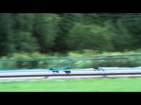 Luhtilaukkaajien ratatreenit 9.7.15