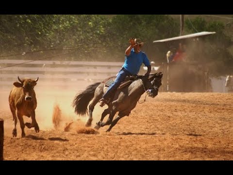 CAMPEONATO LAÇO COMPRIDO RIO AZUL PARANÁ
