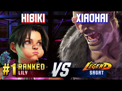 SF6 ▰ HIBIKI (#1 Ranked Lily) vs XIAOHAI (Sagat) ▰ High Level Gameplay