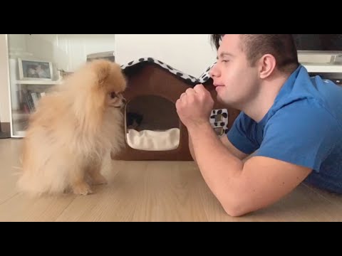 Il Veliero Monza - Viceversa Francesco Gabbani - 2020