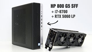 RTX 5060 Low Profile in Old SFF PC: How Far It Goes?