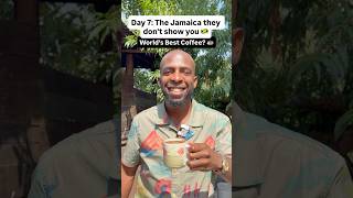 The Jamaica They Don’t Show You: World’s Best Coffee
