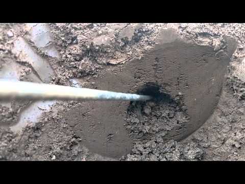 Gopher tunnel theory