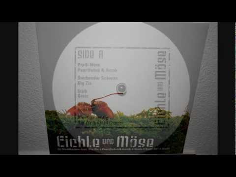 DJ MADMADAM FEAT. BIG ZIS - STERBENDER SCHWAN