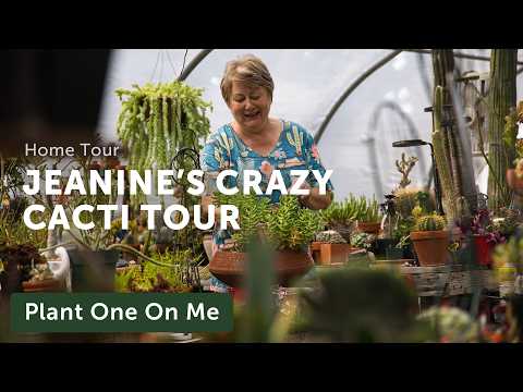 Crazy. Cacti. Chaos: SUCCULENT & CACTI TOUR with Jeanine — Ep. 421